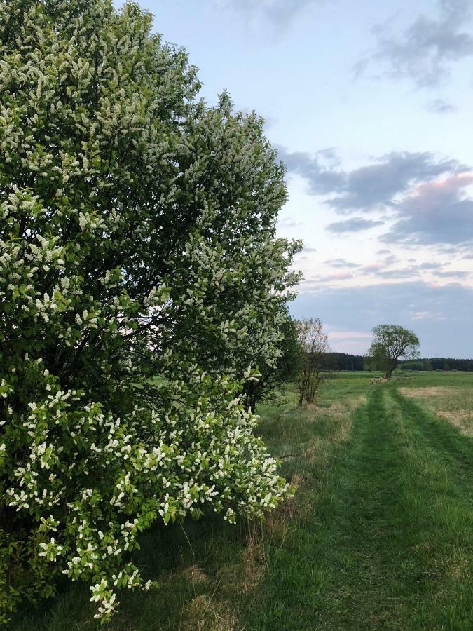Sosnowka - Dom Wypoczynkowy Na Kurpiach Piasutno Gietki Extérieur photo