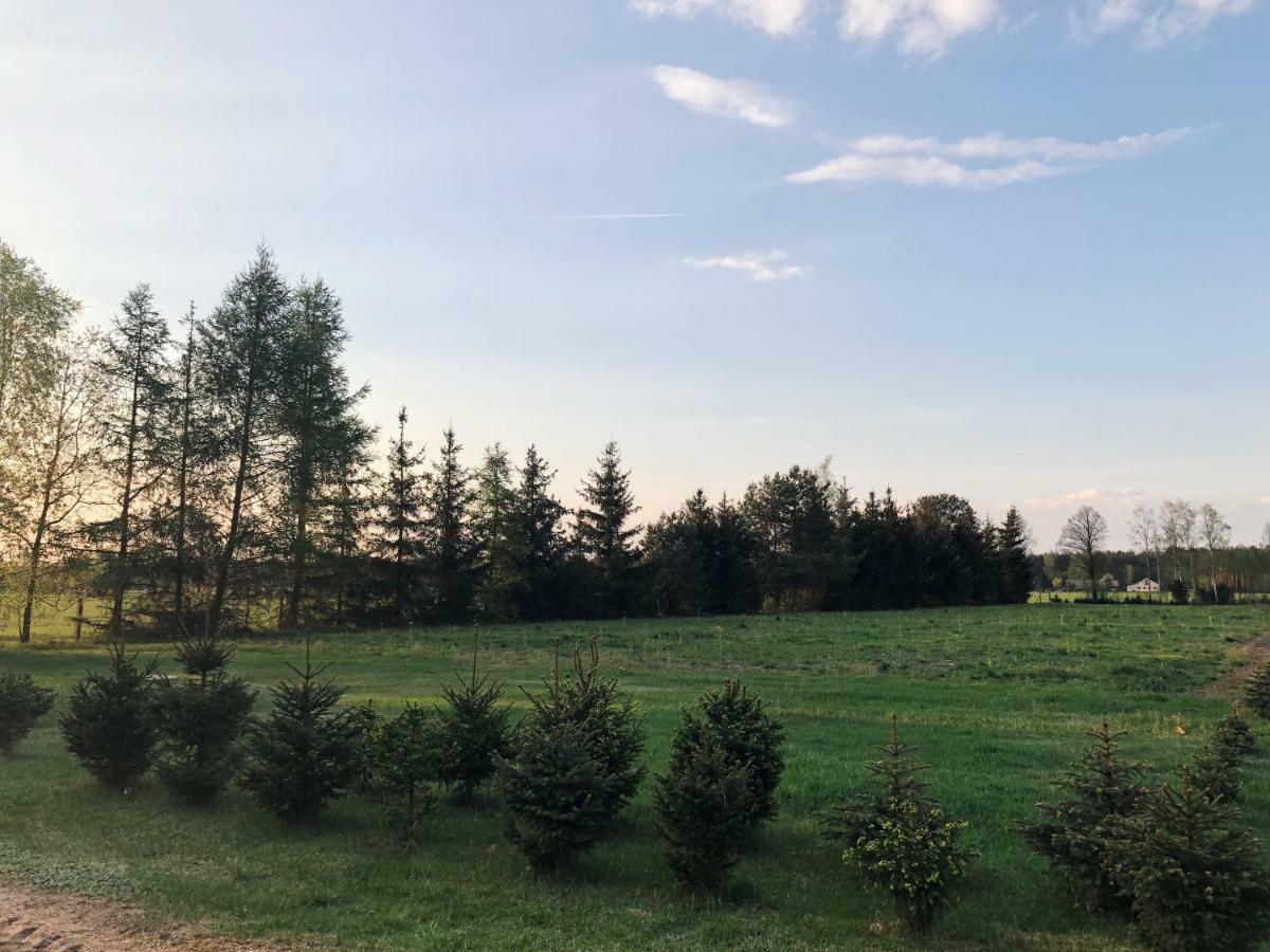 Sosnowka - Dom Wypoczynkowy Na Kurpiach Piasutno Gietki Extérieur photo