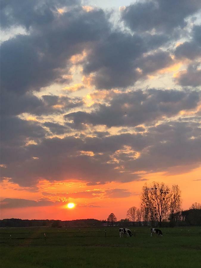 Sosnowka - Dom Wypoczynkowy Na Kurpiach Piasutno Gietki Extérieur photo